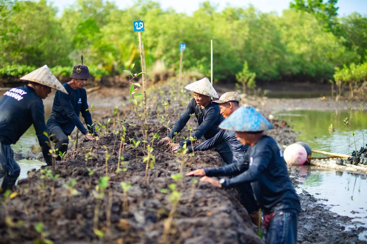 Cash or crypto? Balancing fintech for conservation in the Philippines